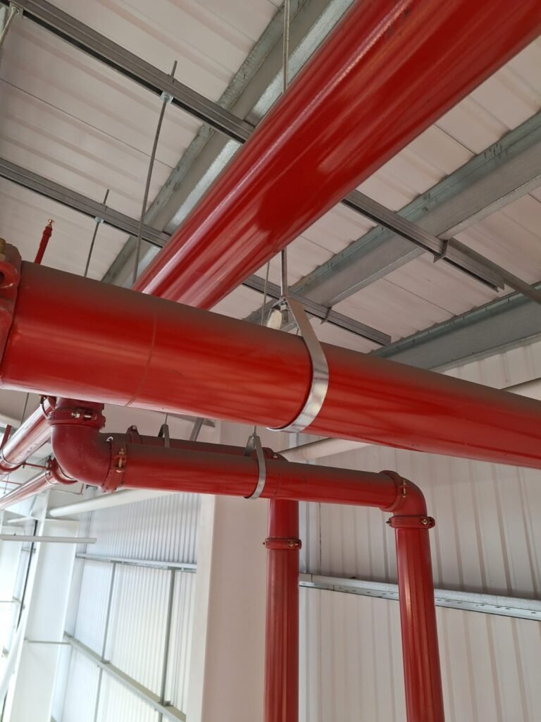 Roof moss removal cleaning service