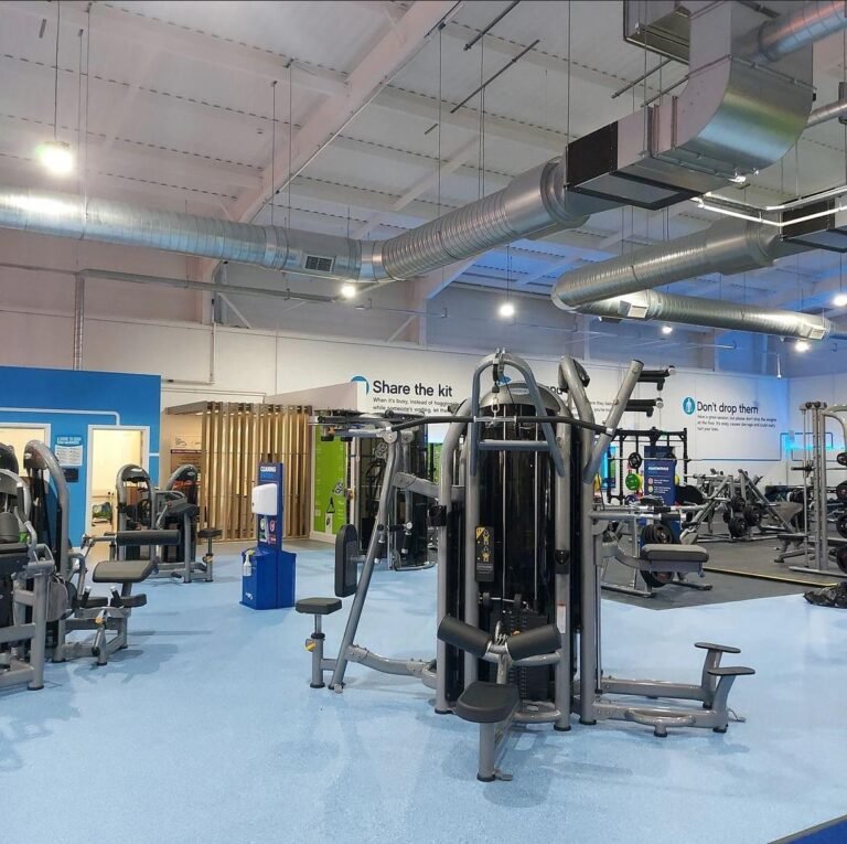 Deep carpet cleaning services for homes and businesses