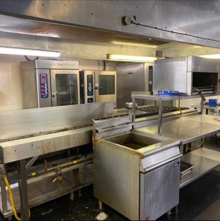 Carpet steam cleaning removing deep dirt and bacteria