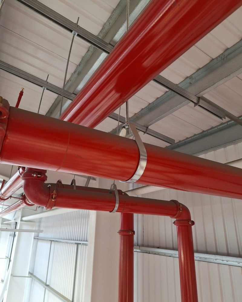 Roof moss removal cleaning service